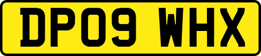 DP09WHX