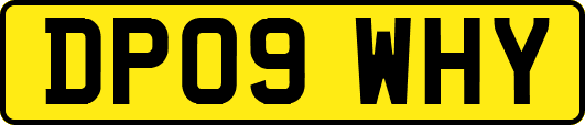 DP09WHY