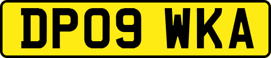 DP09WKA