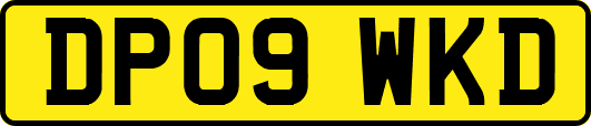DP09WKD