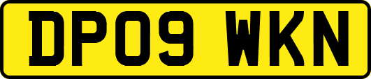 DP09WKN