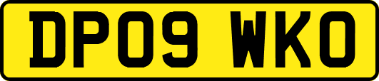 DP09WKO