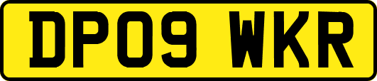 DP09WKR