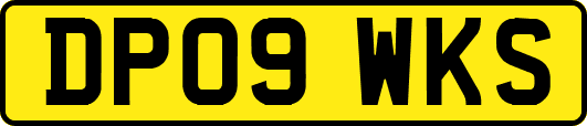 DP09WKS