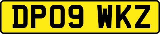 DP09WKZ
