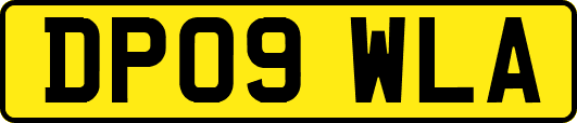 DP09WLA