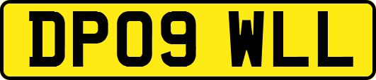 DP09WLL