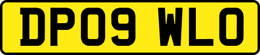 DP09WLO