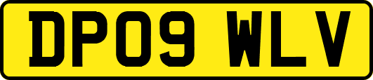 DP09WLV