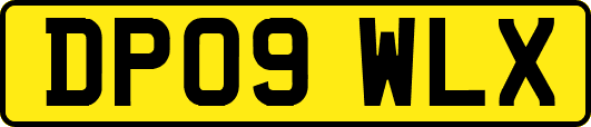 DP09WLX
