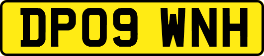DP09WNH