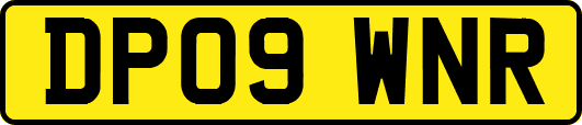 DP09WNR