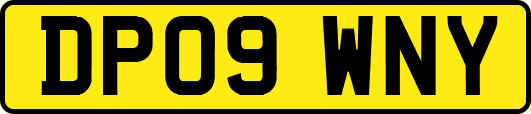 DP09WNY
