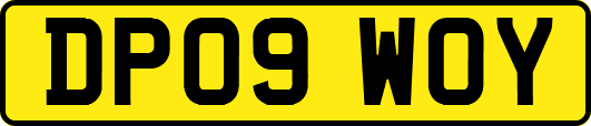 DP09WOY