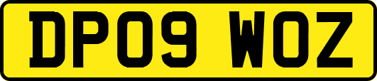 DP09WOZ
