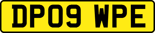 DP09WPE