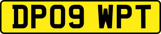 DP09WPT