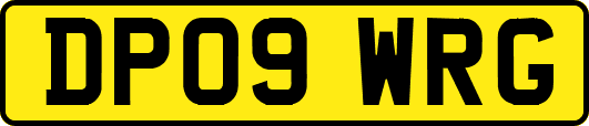 DP09WRG