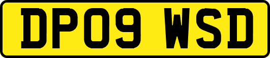 DP09WSD