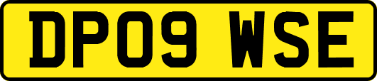 DP09WSE