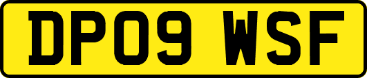 DP09WSF