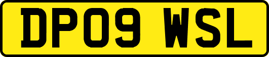 DP09WSL