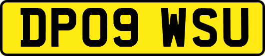 DP09WSU