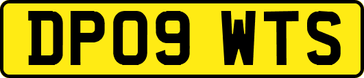 DP09WTS