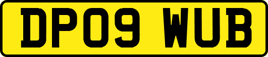 DP09WUB