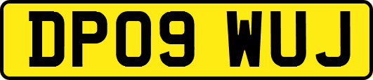 DP09WUJ