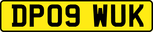 DP09WUK