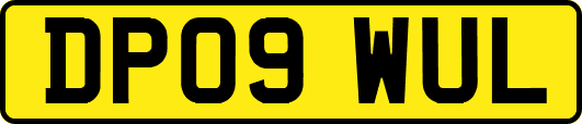 DP09WUL