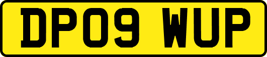 DP09WUP
