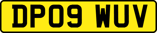 DP09WUV