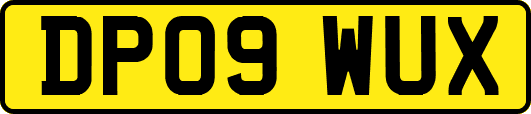 DP09WUX