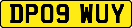 DP09WUY