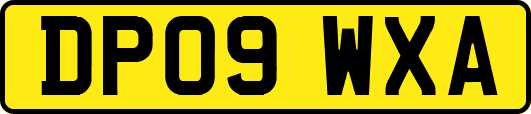 DP09WXA