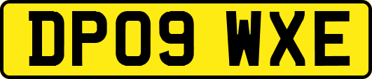 DP09WXE