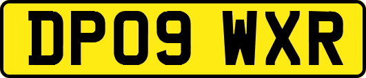 DP09WXR