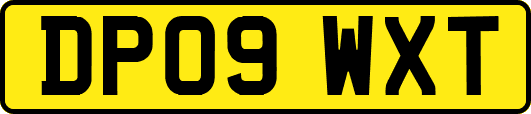 DP09WXT