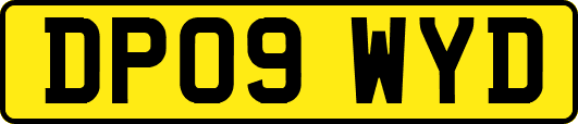 DP09WYD