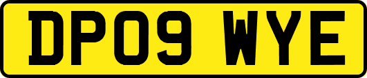 DP09WYE