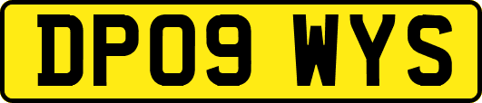 DP09WYS