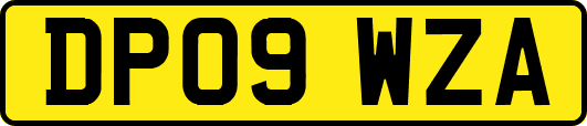 DP09WZA