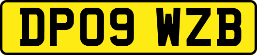 DP09WZB