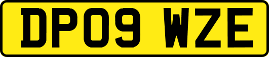 DP09WZE