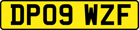 DP09WZF