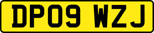 DP09WZJ