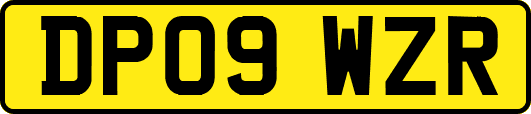 DP09WZR