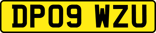 DP09WZU